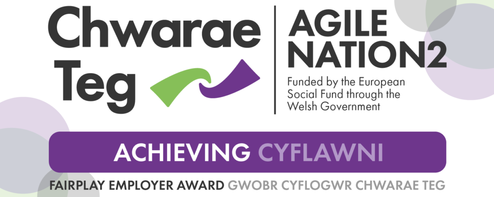 Snowdonia Society recognised as Fair Play Employer