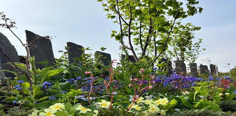 Snowdonia inspired garden triumphs at national gardening competition