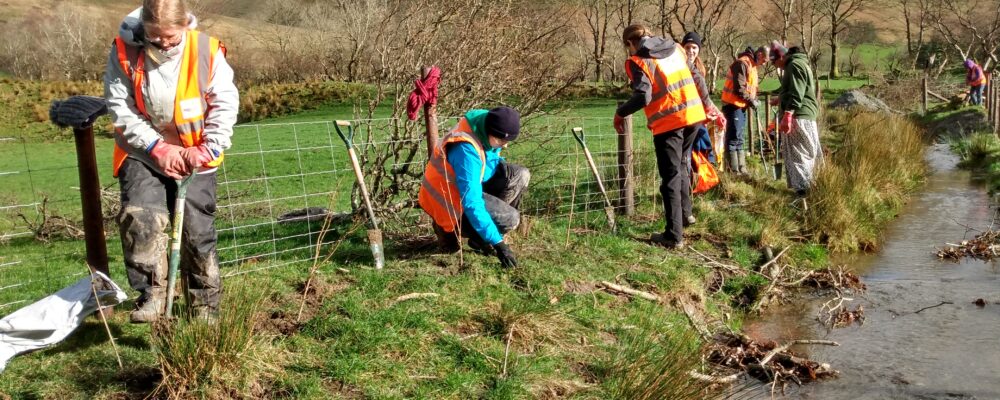 C’mon Wales! – time to shape a future of nature-rich farmed landscapes