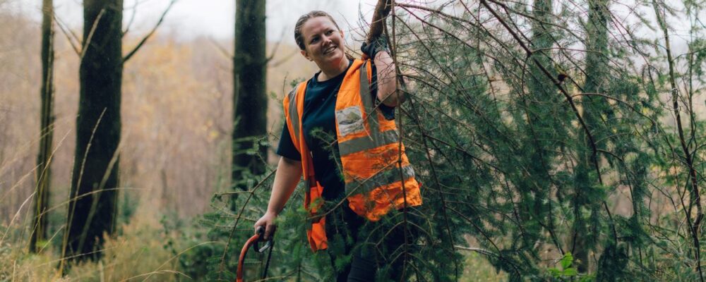 Christmas cheer for nature in Snowdonia thanks to fundraisers