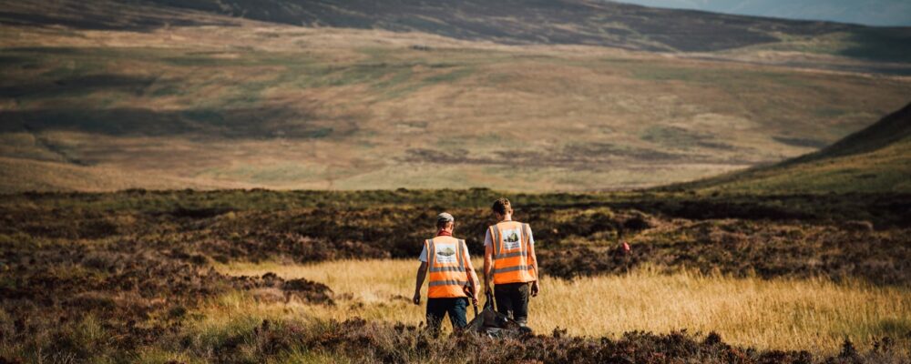 Deadline approaching for action on peat