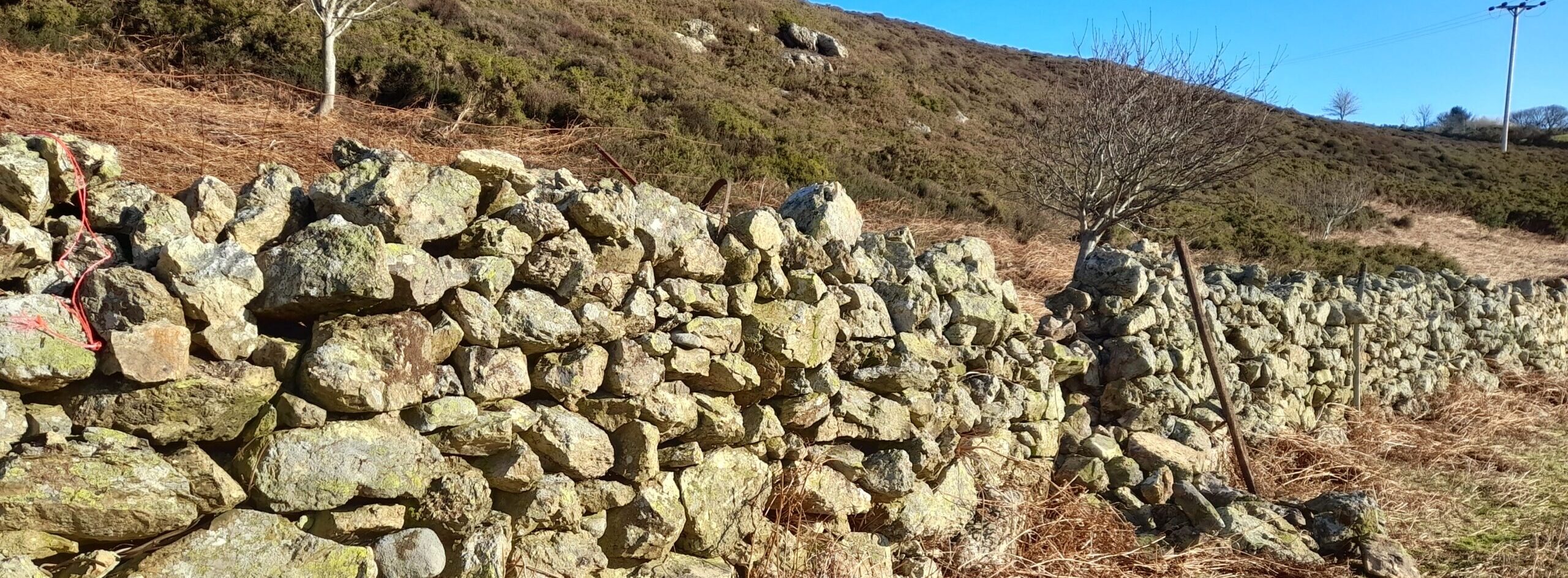 Dry stone walling at Pensychnant Conservation Centre