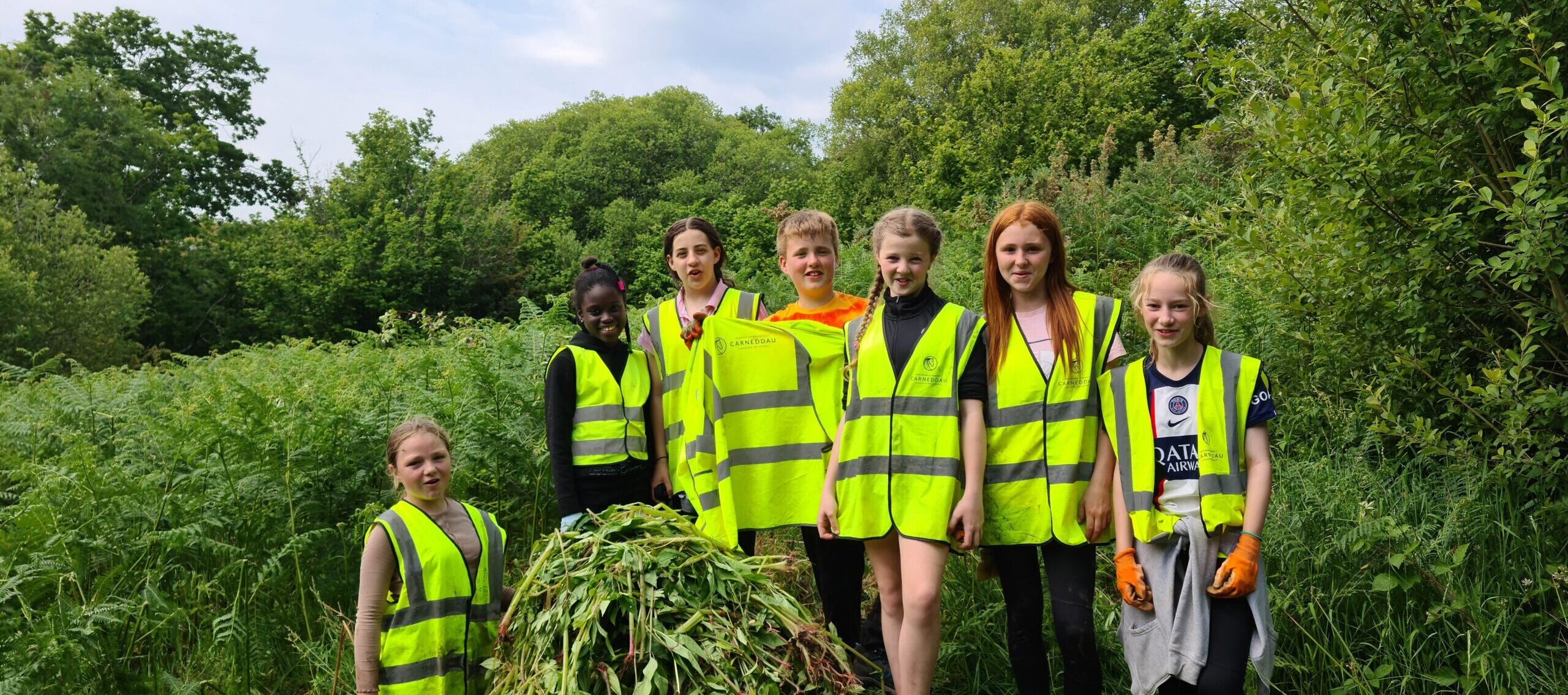 2023 Himalayan Balsam Update