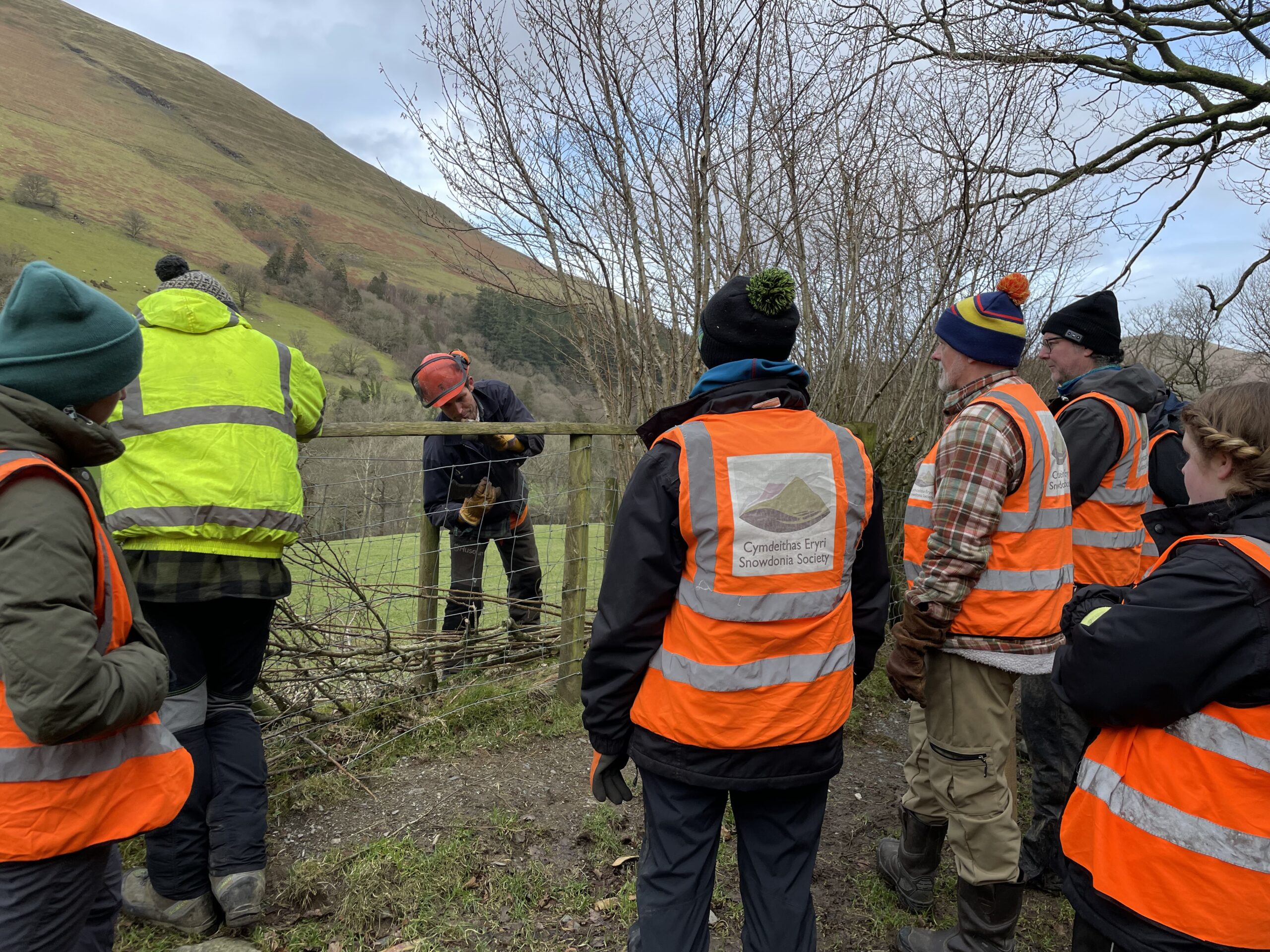 Learning about hedge laying